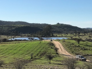 IMG_0675