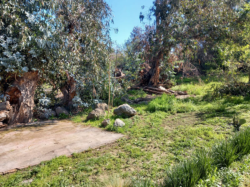 IMG-20210913-WA0074