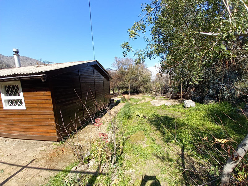 IMG-20210913-WA0091