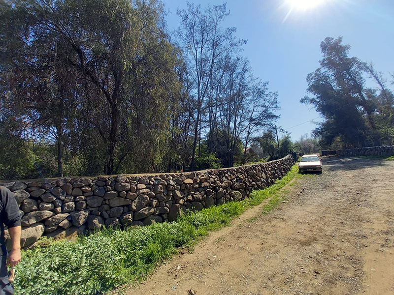 IMG-20210913-WA0101