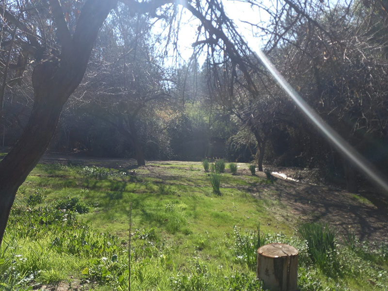 IMG-20210913-WA0107