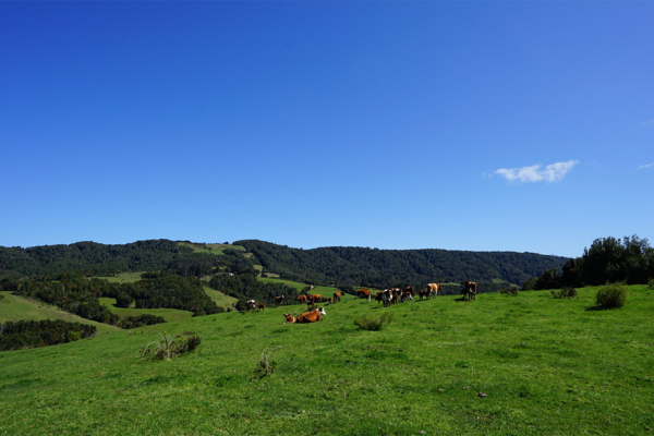 Captura de pantalla 2022-02-15 142321