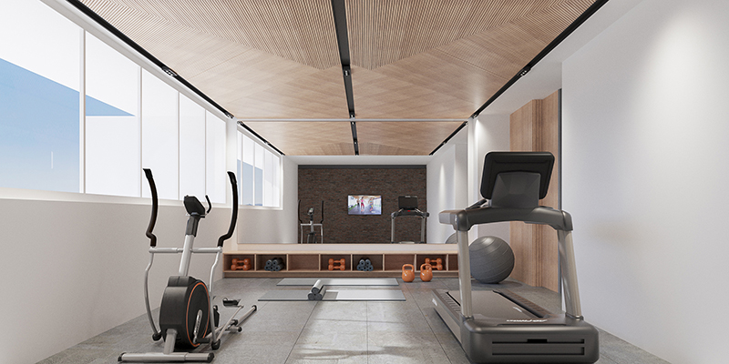Gimnasio