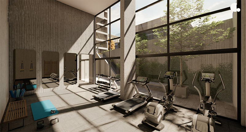 Gimnasio